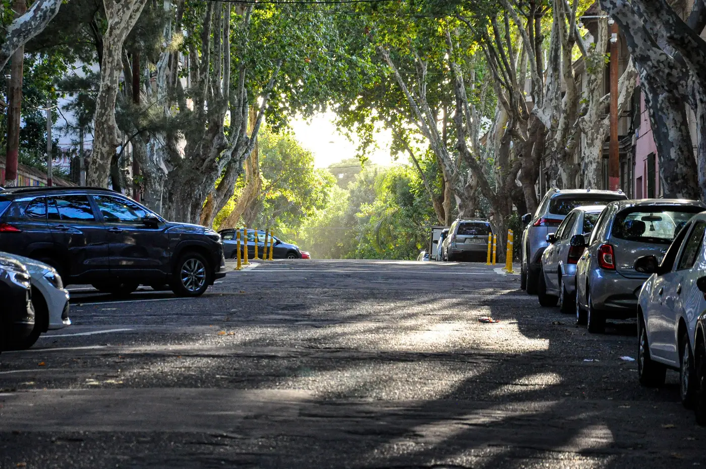 A residential street shaded by a dense tree canopy, with patches of direct sun breaking through gaps between the branches.